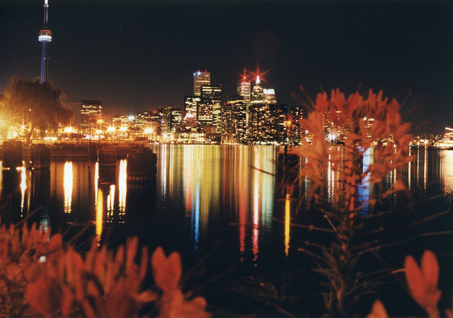Toronto skyline at night from Toronto Island